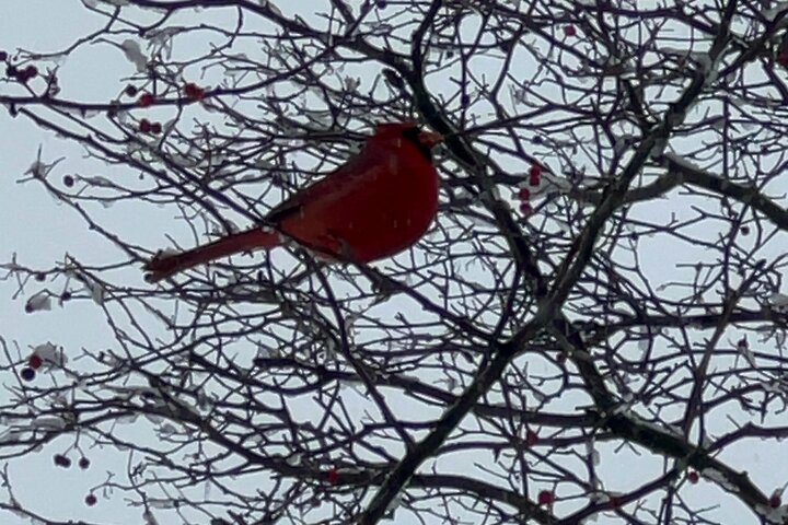 Experience Image img1