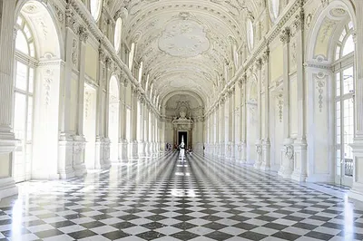 Unveiling Royal Splendor: A Guided Journey Through Turin's Reggia di Venaria