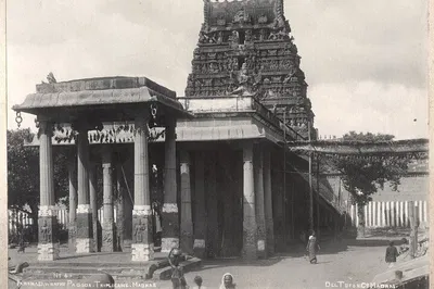 Discover Thiruvallikeni's Cultural Heart: An Immersive Chennai Temple Experience