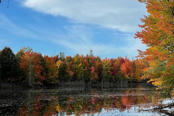 Experience Image img1