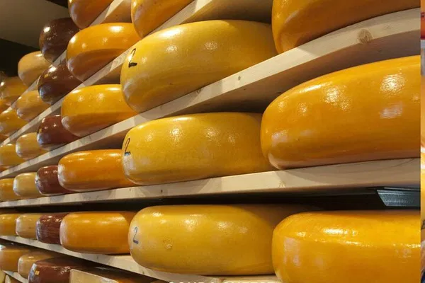 Rotterdam & Gouda: A Whirlwind Dutch Adventure Through History and Cheese!