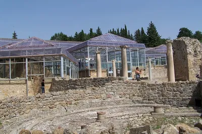 Image 2