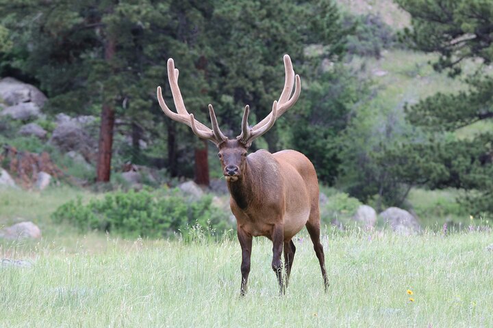 Experience Image img1