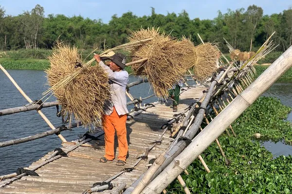 Hoi An Countryside: A Half-Day Immersion into Rural Vietnamese Life