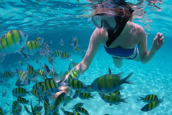 Dive into Paradise: Snorkel Peterson Cay & Relax at Viva Wyndham, Grand Bahama!