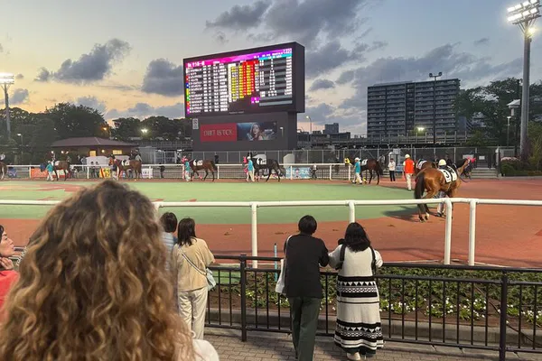 Tokyo Horse Racing Tour: Bet Like a Local!