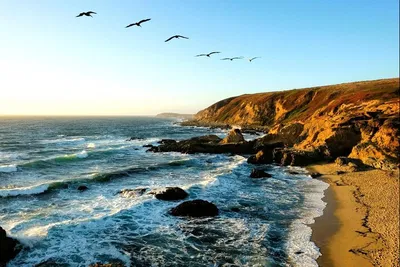 Bodega Head Audio Tour: Wild Coast Views & History!