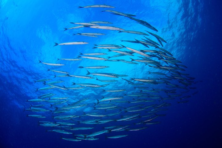 Experience Image img1