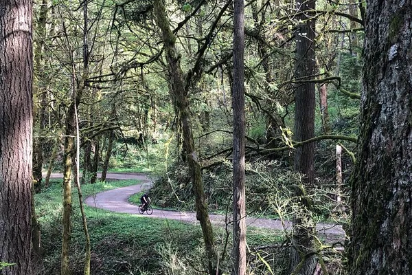 Conquer Portland's Forest Park: A Gravel & E-Bike Adventure
