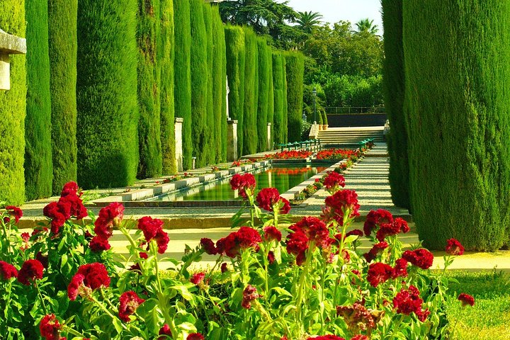 Experience Image img3