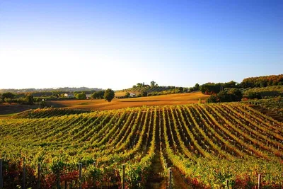 San Gimignano Wine Tour from La Spezia Pier (Private)