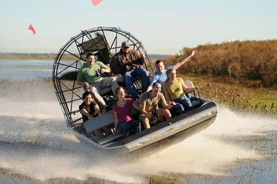 Everglades Adventure: Airboat Tour & Wildlife Sanctuary