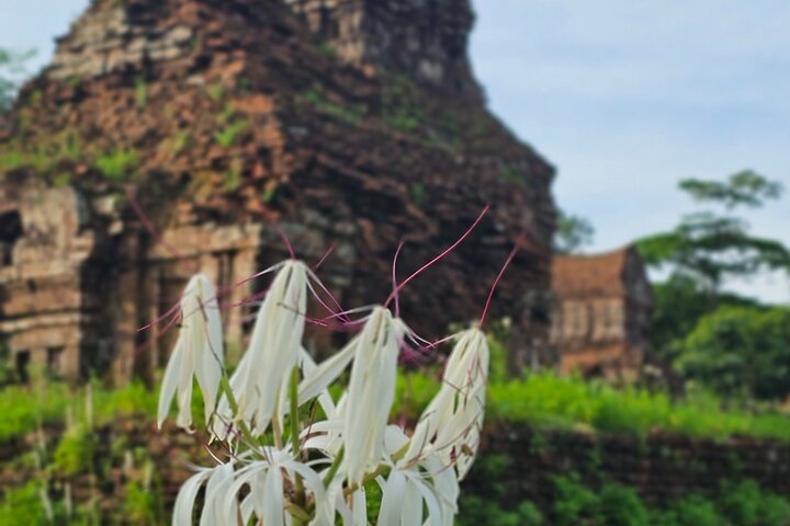 Experience Image img3