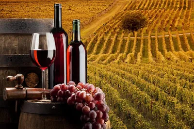 Unforgettable Bella Toscana: Chianti Wineries & San Gimignano Private Tour from Livorno