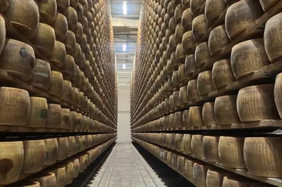 Parmesan, Balsamic Tour with Lunch from Bologna