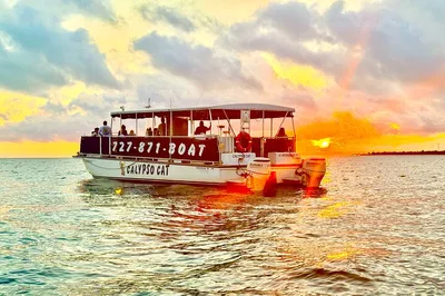 Fabulous Florida Sunset: Dolphin Cruise & Skyway Light Show