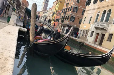 Venice & Murano Private Tour: See the Best in 4 Hours