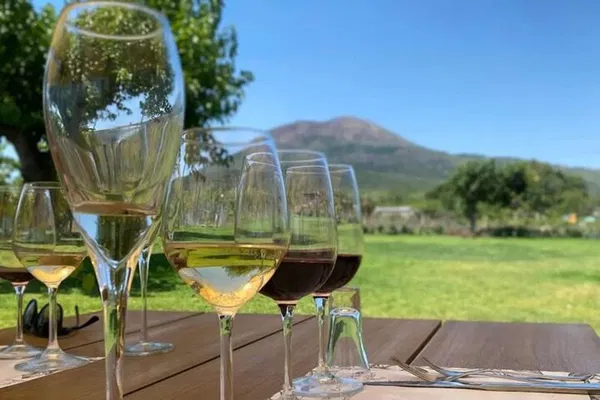 Pompeii Lunch & Wine: Farm to Table Vesuvius