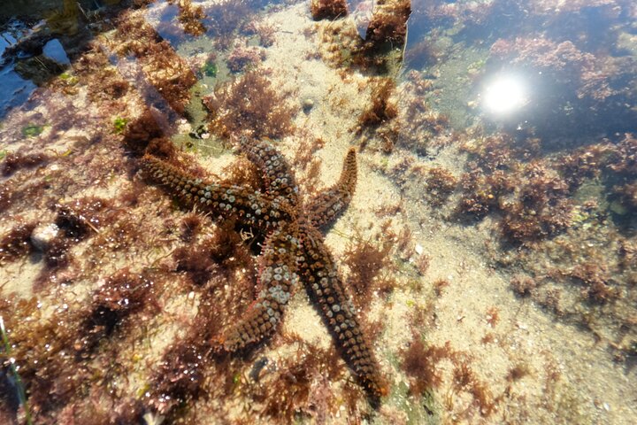 Experience Image img1