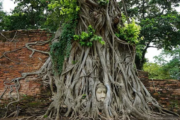 Uncover Thailand's Ancient Wonders: Ayutthaya & Khao Yai Adventure