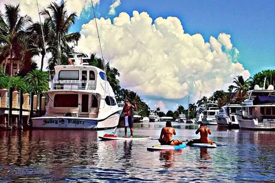Glide Through Paradise: Fort Lauderdale's 'Venice of America' Kayak & Paddleboard Tour!