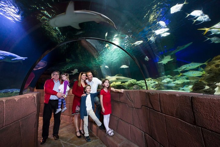 Experience Image img4