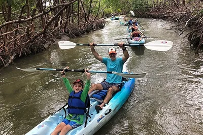 Naples' Mangrove Ecotour: Paddle Through Rookery Bay's Wonders