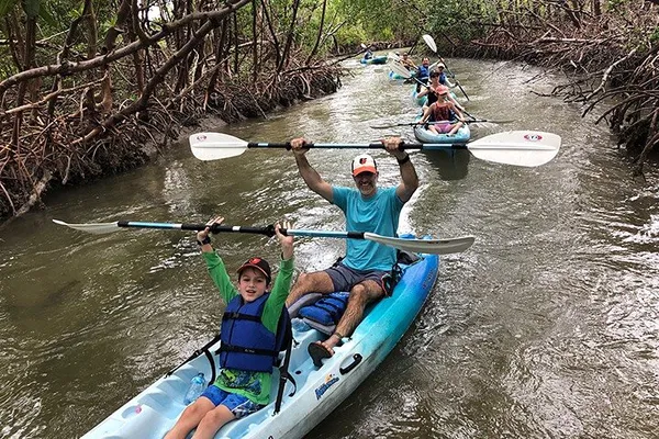 Naples' Mangrove Ecotour: Paddle Through Rookery Bay's Wonders