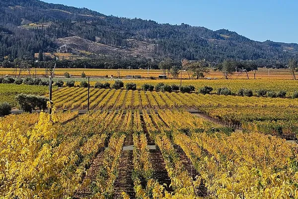 Unforgettable Napa & Sonoma: Private Guided Wine Tour Awaits!