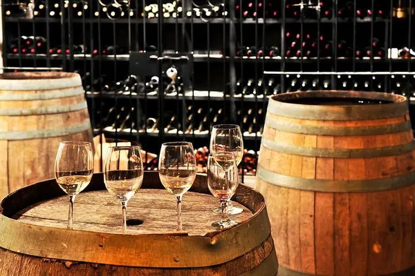 Unwind in Style: Private Wine Tour in Loudoun County from DC