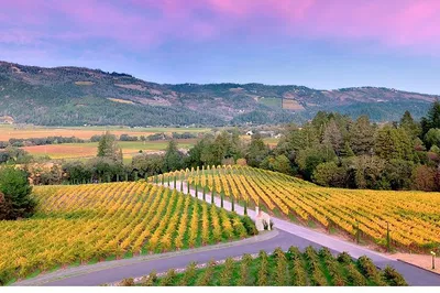 Unforgettable Napa & Sonoma: Private Wine Tour in Style