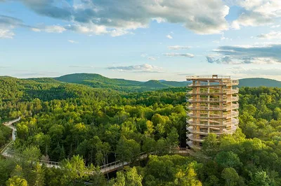 Ascend to New Heights: Mont-Tremblant's Breathtaking Treetop Adventure