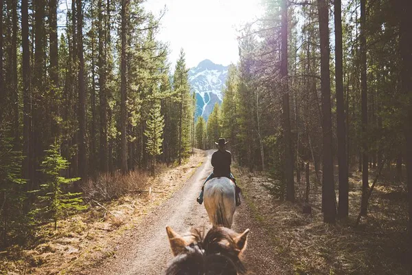 Saddle Up: Kananaskis 1-Hour Horseback Adventure!