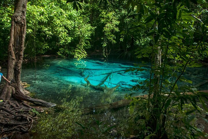Krabi Jungle Adventure: Explore Tiger Cave & Emerald Pool