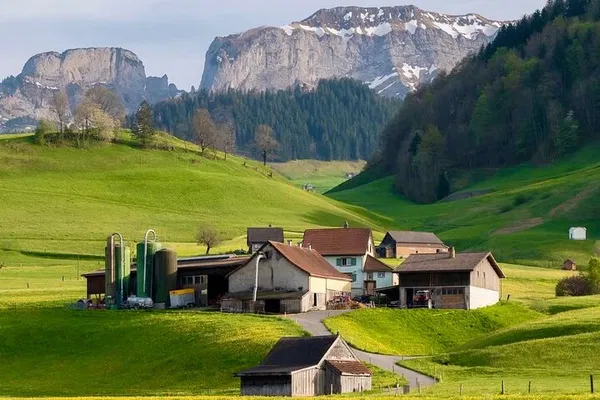 Appenzell Cow Milking Tour from Zurich: Cheese & Alps!