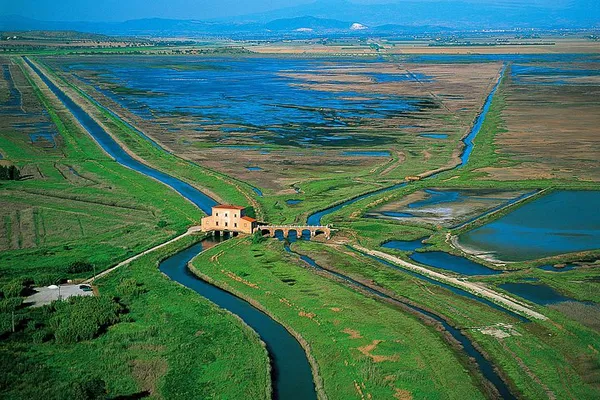 Unveiling Tuscan Maremma's Secrets: A Walking Tour in Diaccia Botrona