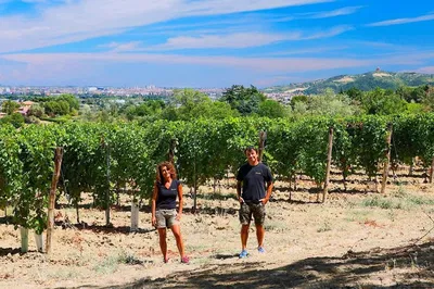 Discover Bologna Hills: Exclusive Wine Tour & Tasting with the Winemaker