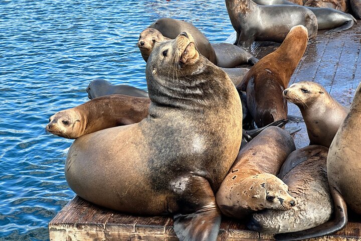 Experience Image img3