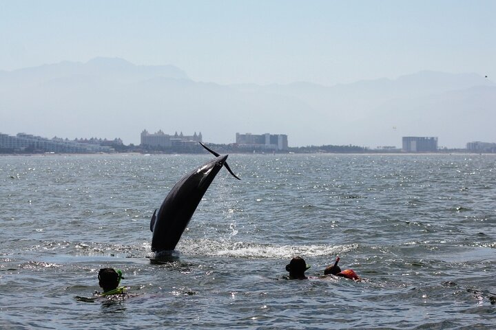 Experience Image img4