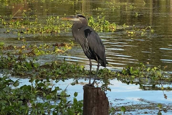 Experience Image img2