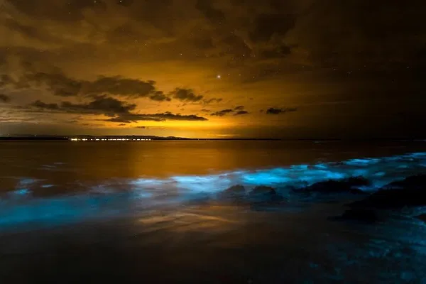 Phang Nga Bay Bioluminescence: A Magical Sea Canoeing Adventure