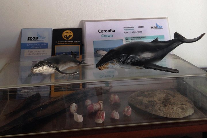 Experience Image img2