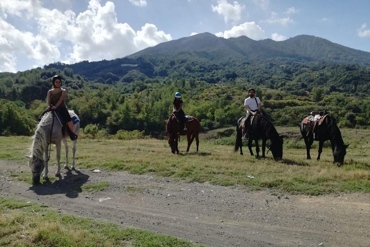 Mount Vesuvius Horseback Adventure: Ride with Respect & Revelations
