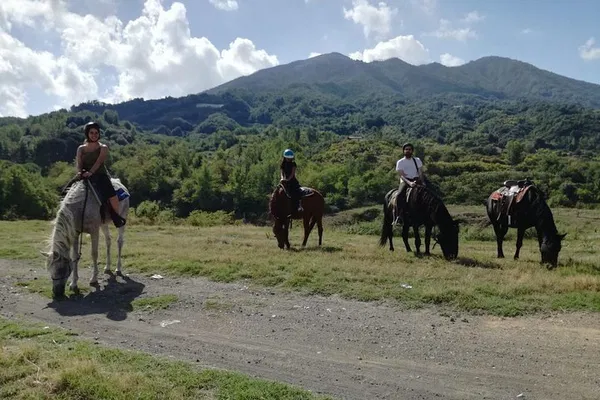 Mount Vesuvius Horseback Adventure: Ride with Respect & Revelations