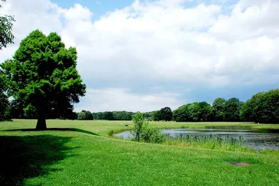 Leipzig's Prehistoric Adventure: A Dinosaur Scavenger Hunt!