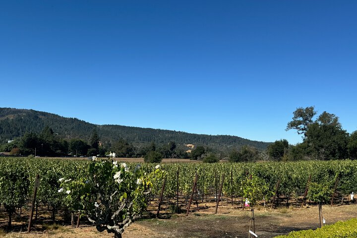 Experience Image img3