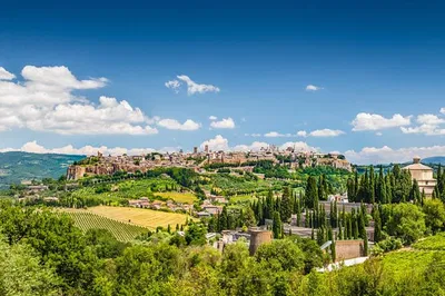 Unveil Orvieto's Charm: A Private Wine & Town Escape from Rome