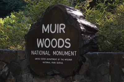 Golden Gate Escape: Muir Woods, Sausalito & Tiburon Private Tour