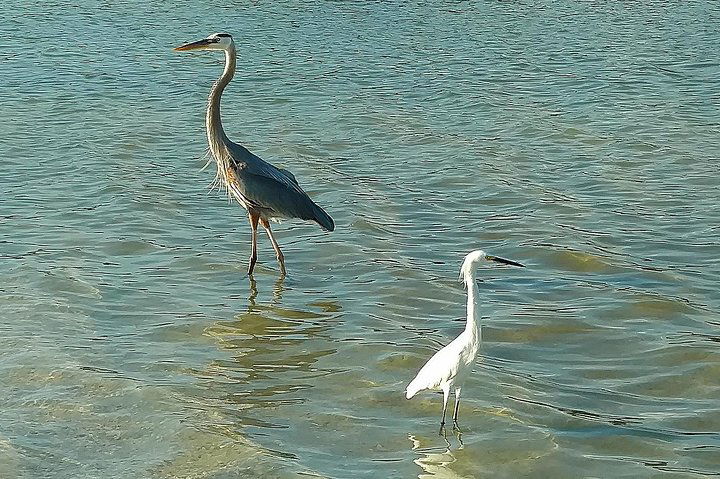 Experience Image img2