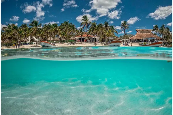 Discover Tulum Ruins, Swim with Turtles & Explore Cenotes: A Riviera Maya Adventure